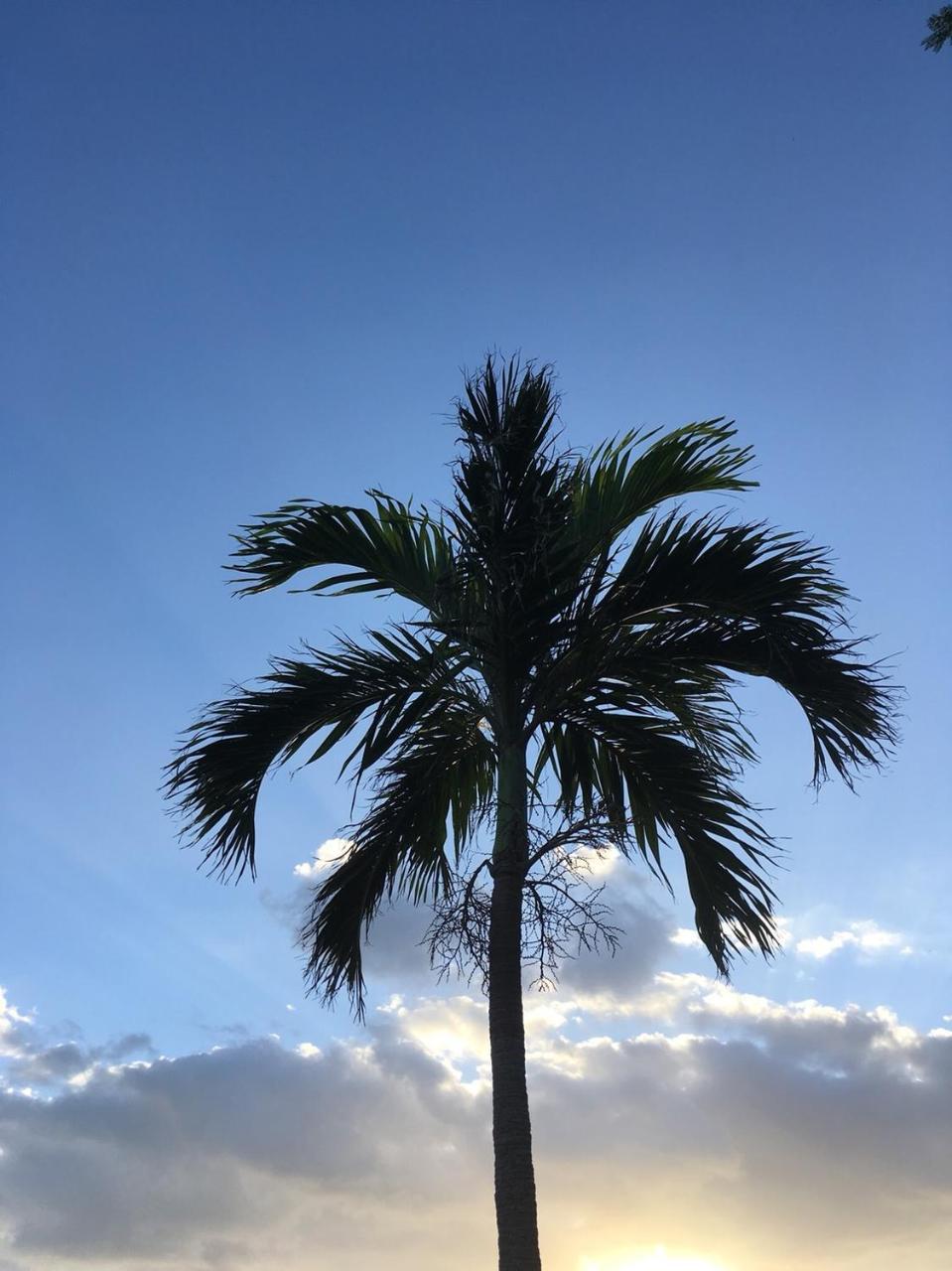 Y' Rise To Hotel Miyakojima Exterior photo